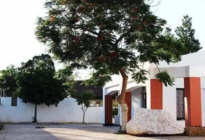 تختخواب و صبحانه Vintage View Guest House