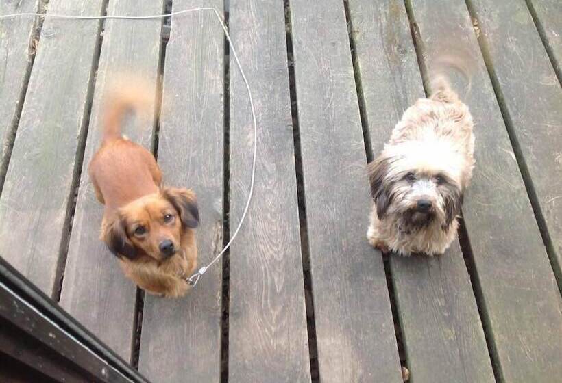 Cottage Itsubi No Sato