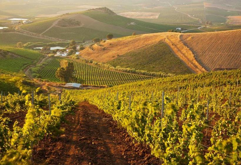 בית מלון כפרי Agriturismo Tarantola