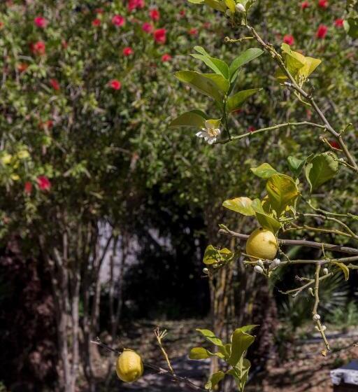 בית מלון כפרי Agriturismo Tarantola