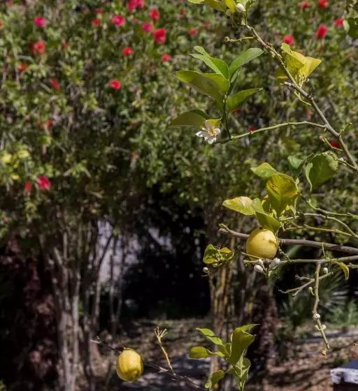 ホテル Agriturismo Tarantola