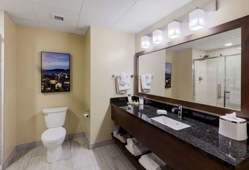 Best Western Plus St. John S Airport Hotel And Suites