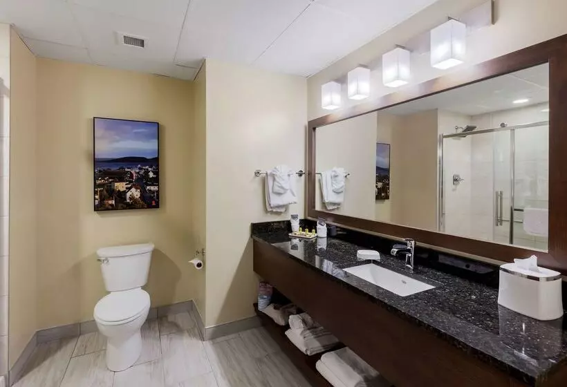 Best Western Plus St. John S Airport Hotel And Suites
