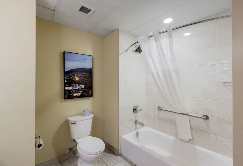 Best Western Plus St. John S Airport Hotel And Suites