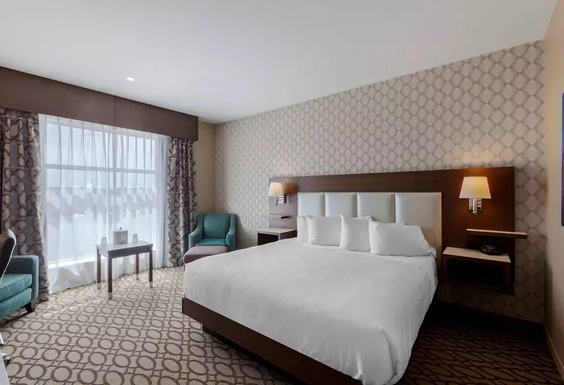 Best Western Plus St. John S Airport Hotel And Suites