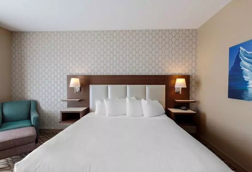 Best Western Plus St. John S Airport Hotel And Suites