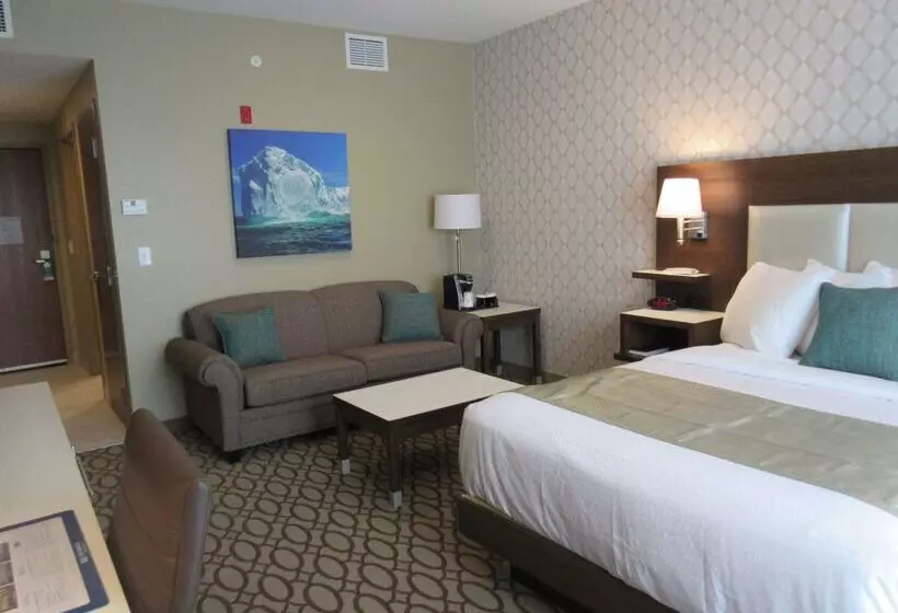 Best Western Plus St. John S Airport Hotel And Suites