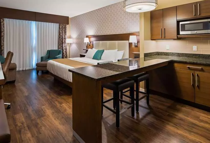 Best Western Plus St. John S Airport Hotel And Suites