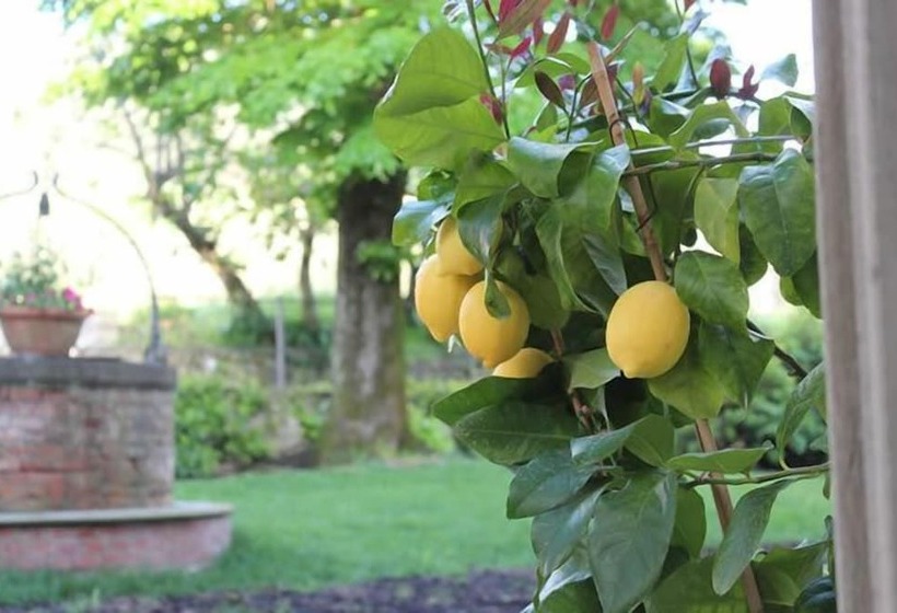 בית מלון כפרי Borgo I Vicelli Adults Only Relais