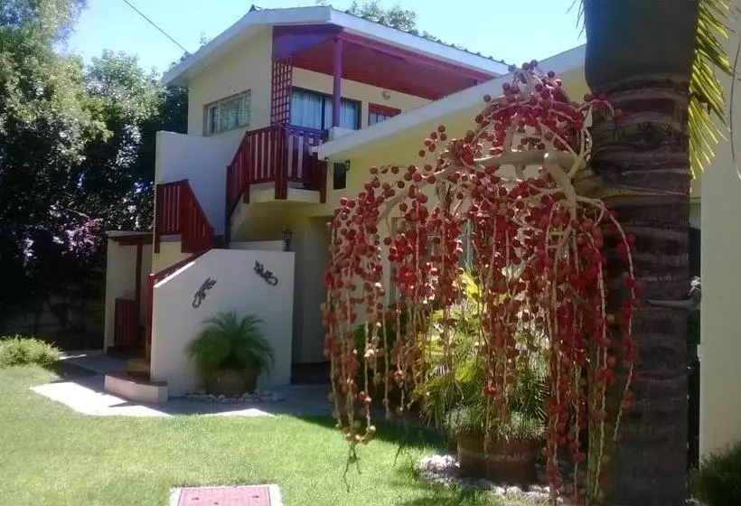 Hotelli Cedar Lodge Guest House