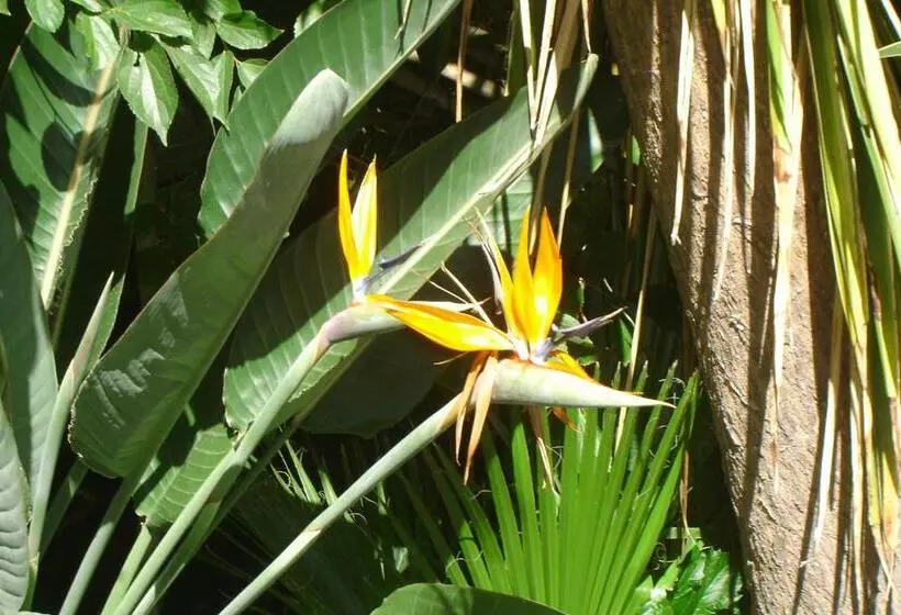 Hotelli Cedar Lodge Guest House