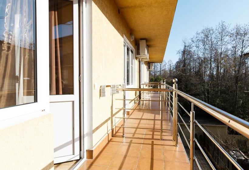 فندق Barin House