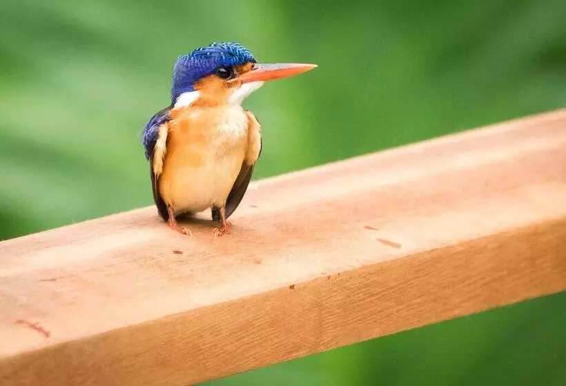 هتل Sundy Praia Lodge