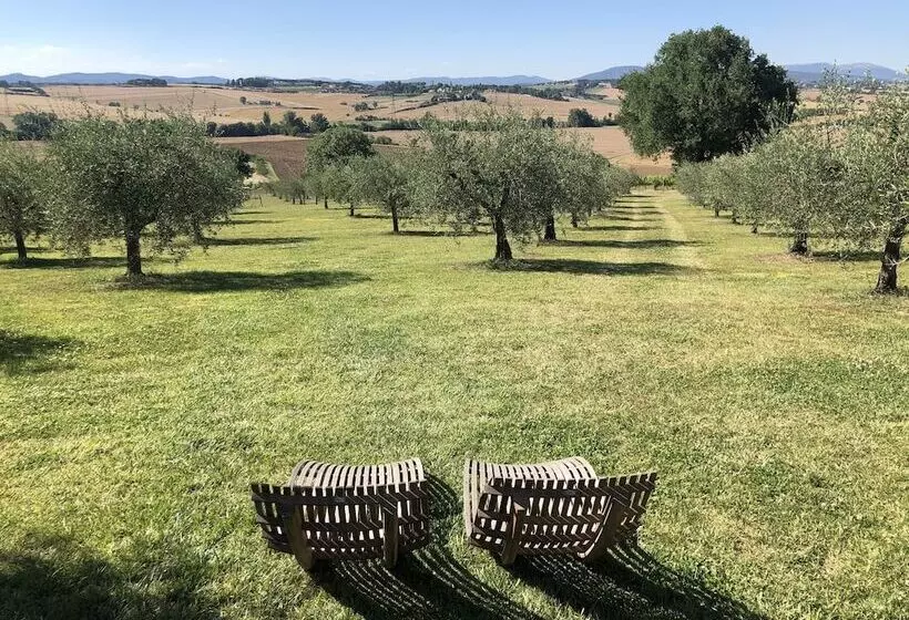 هتل Tenuta Dei Mori Wine Relais Events
