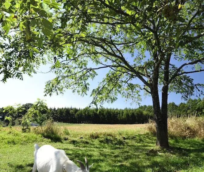 Majatalo Blue In Green