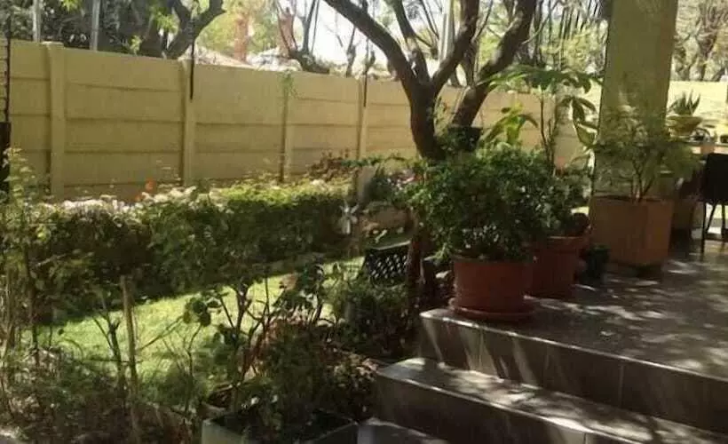 پانسیون Cottage In Orange Grove