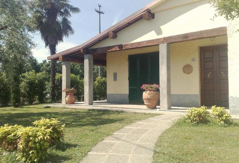 Villa In Lucca