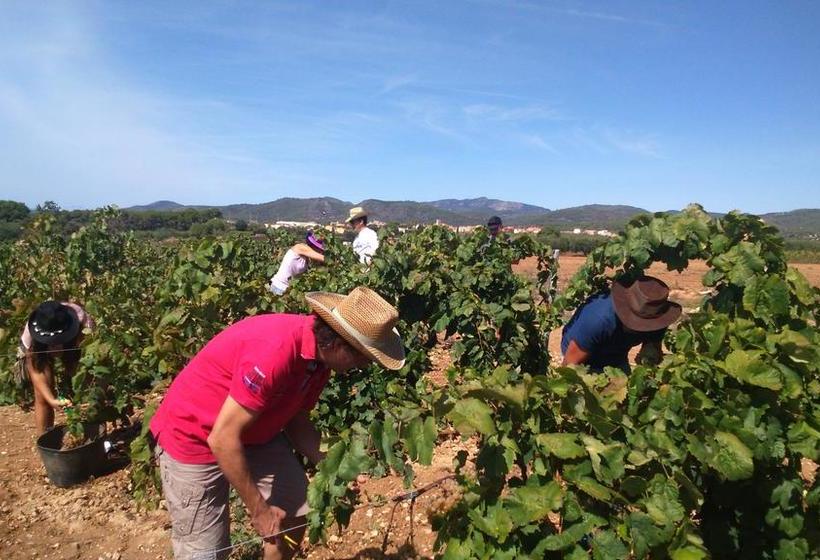 בית מלון כפרי Archs  Rural