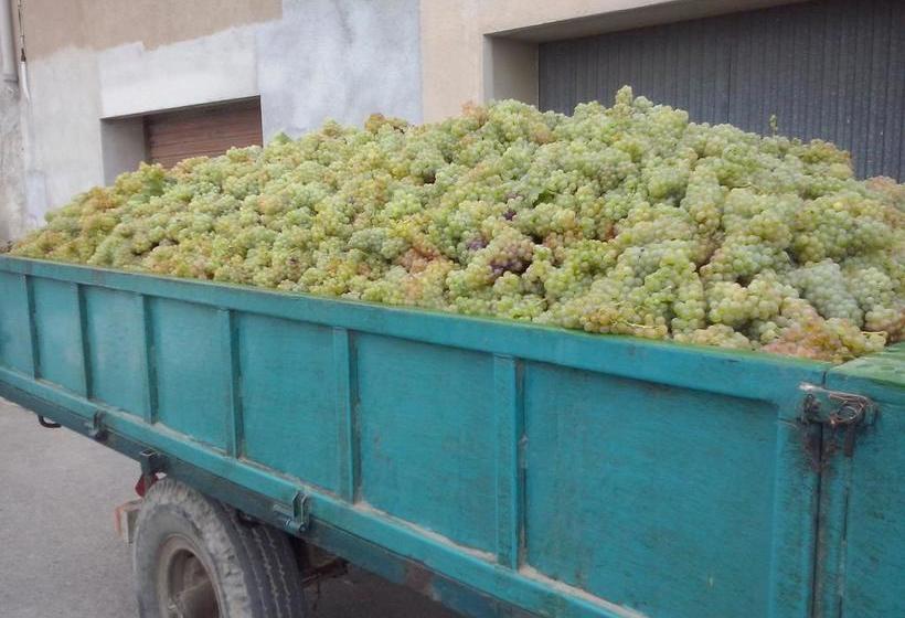 בית מלון כפרי Archs  Rural