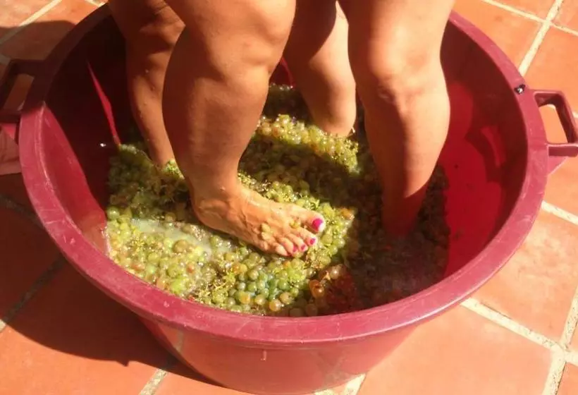 Hotelli Archs  Rural