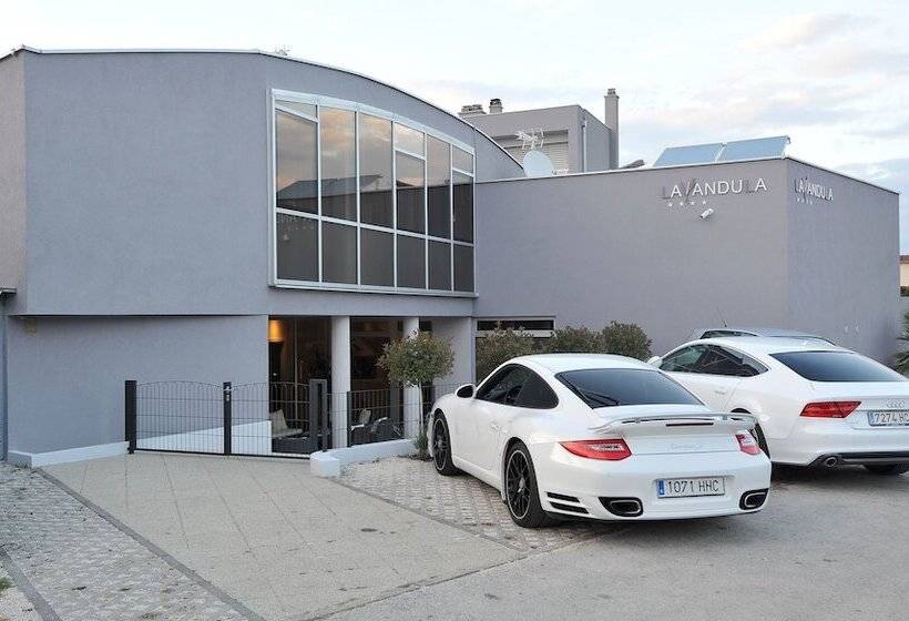 ホテル Apartments & Rooms Lavandula Exclusive