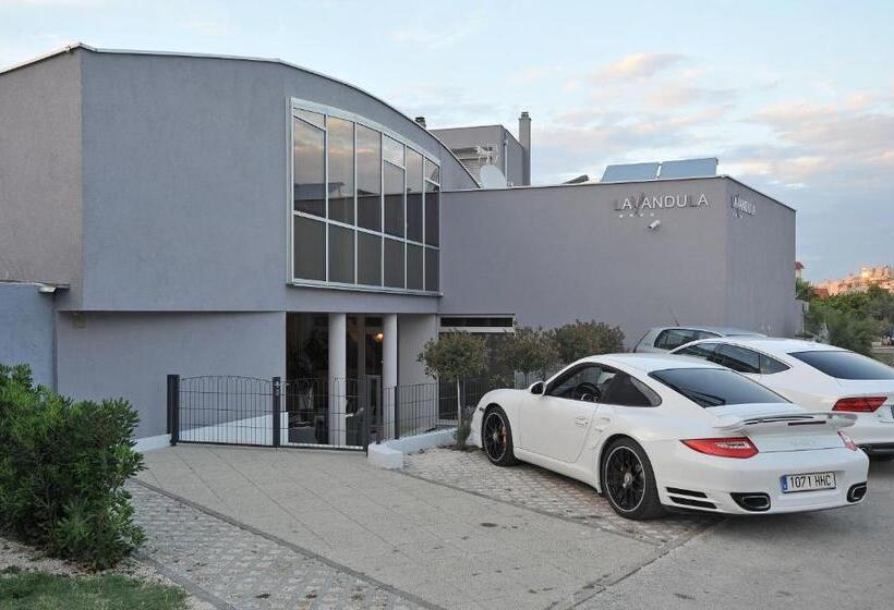 ホテル Apartments & Rooms Lavandula Exclusive