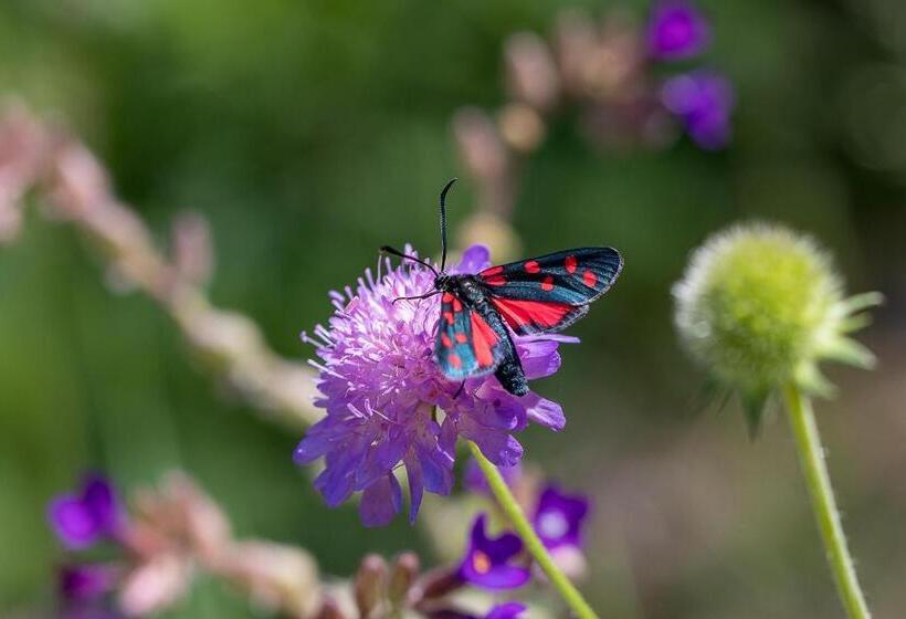 Отель Langeshof