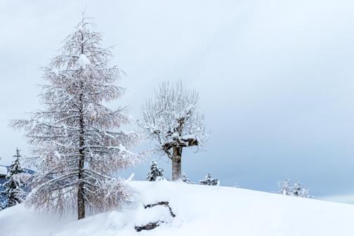 Отель Langeshof