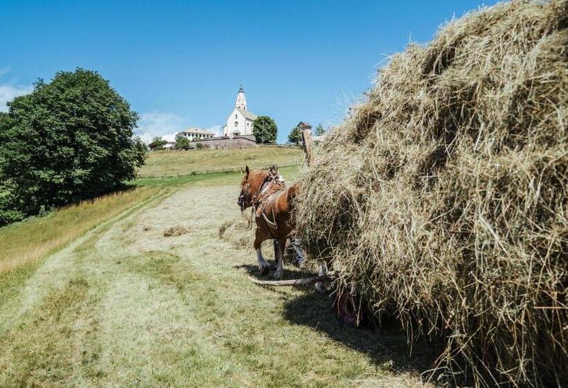 Отель Langeshof