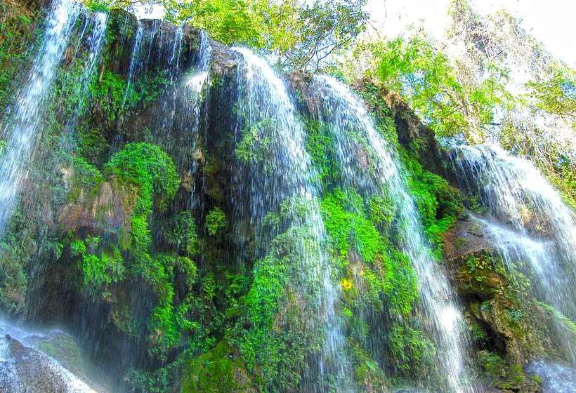 هتل Melia San Carlos