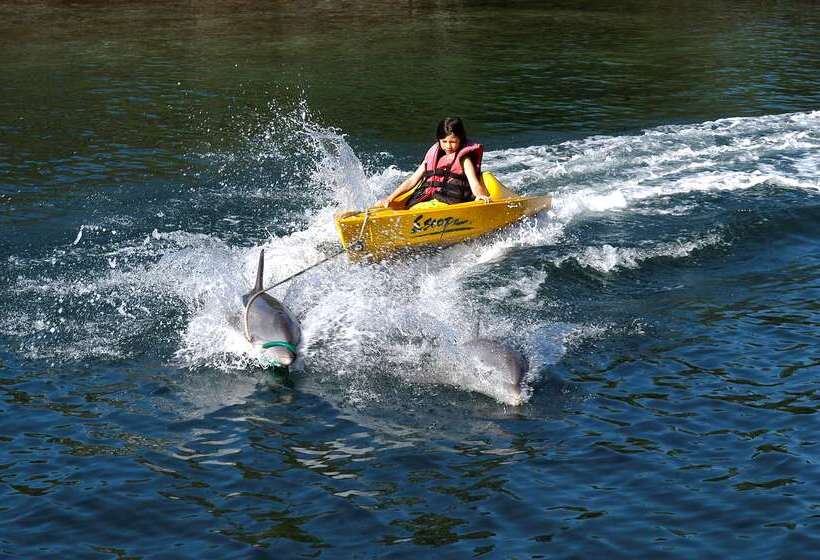 هتل Melia San Carlos