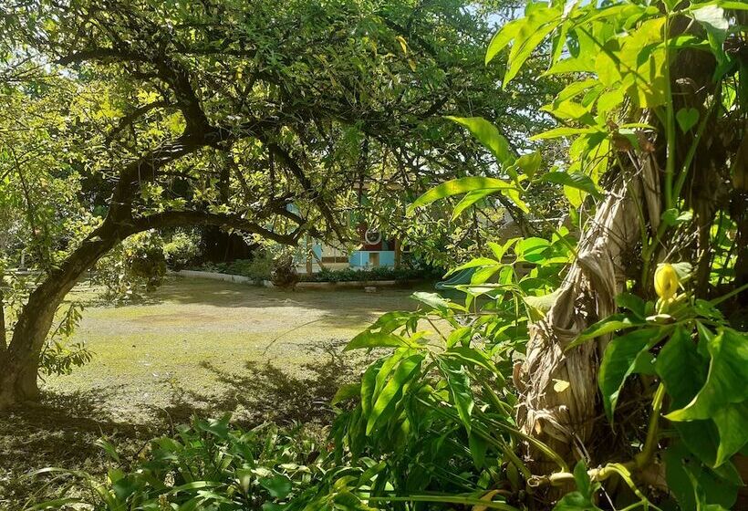 هتل Pension Les Trois Cascades