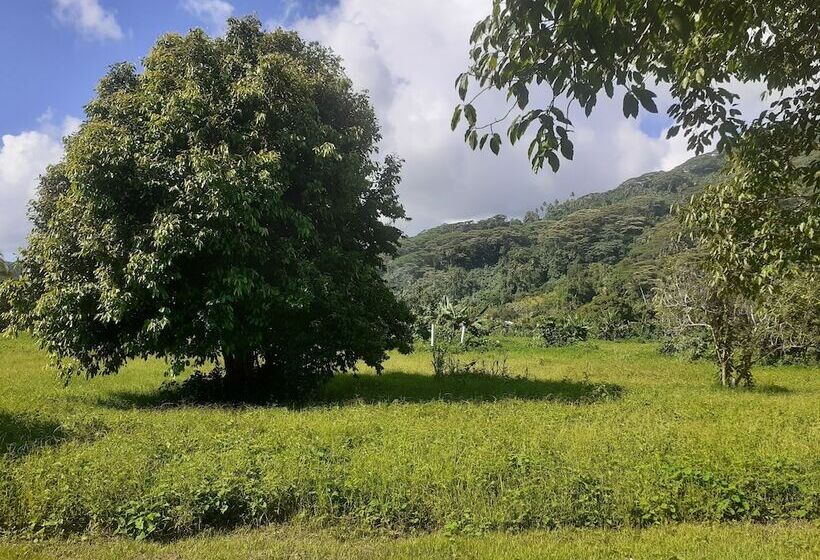 هتل Pension Les Trois Cascades