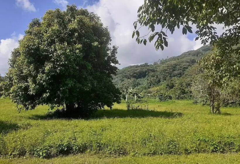 هتل Pension Les Trois Cascades