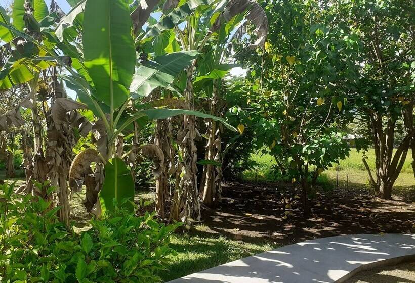 هتل Pension Les Trois Cascades