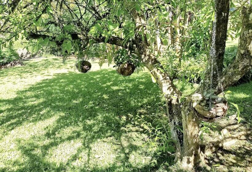 هتل Pension Les Trois Cascades