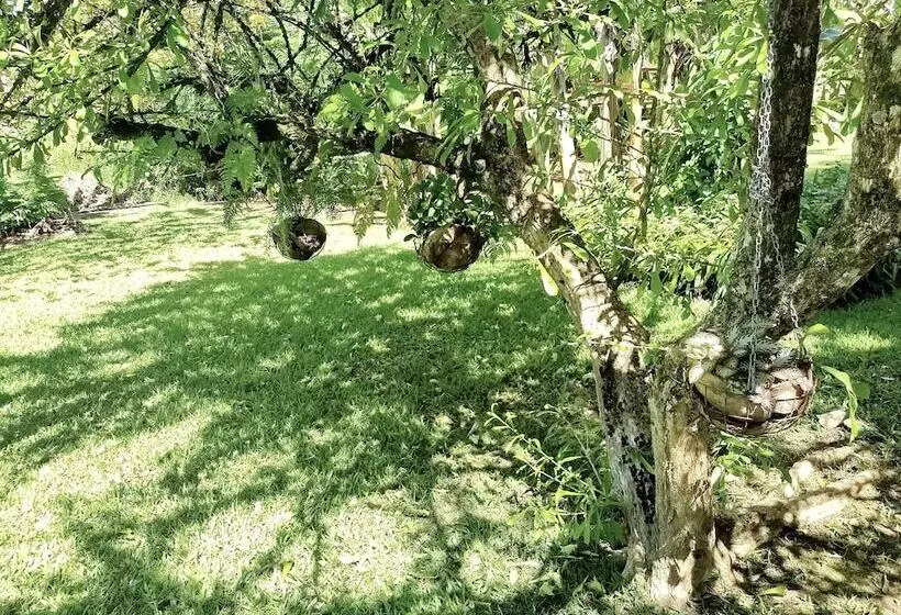 هتل Pension Les Trois Cascades