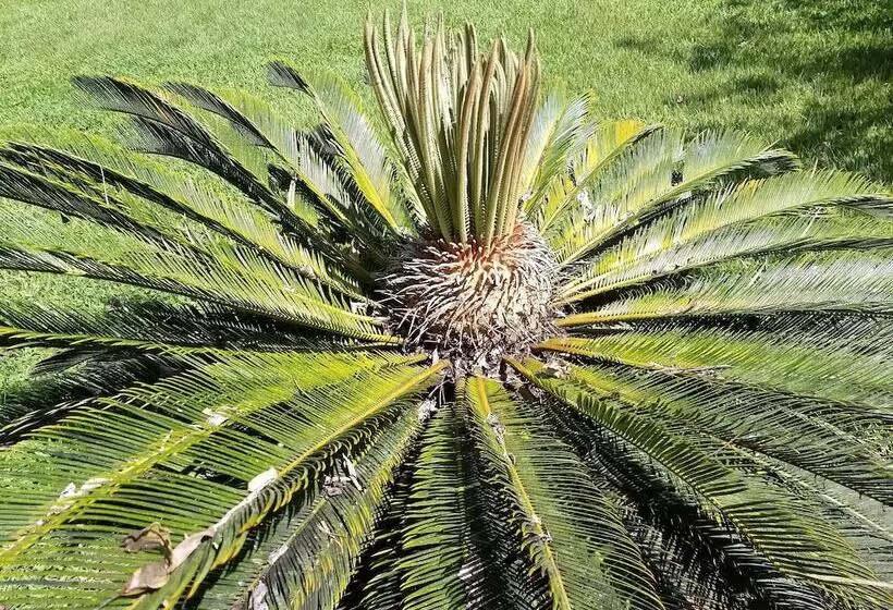 هتل Pension Les Trois Cascades