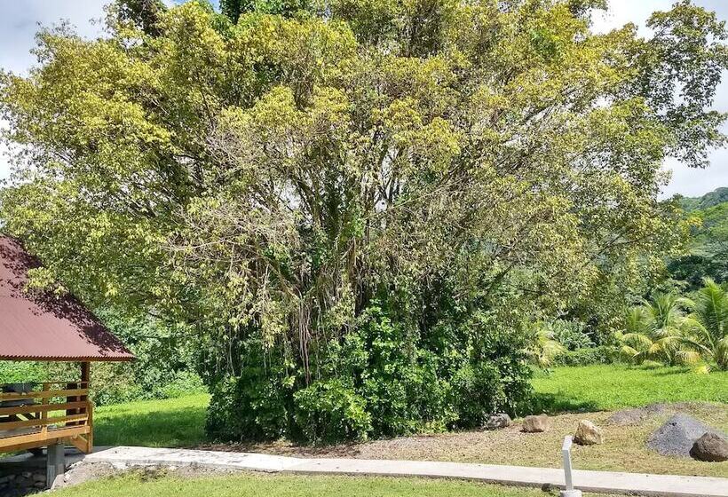 هتل Pension Les Trois Cascades