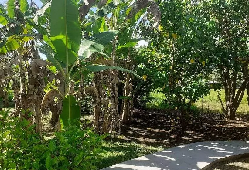 هتل Pension Les Trois Cascades