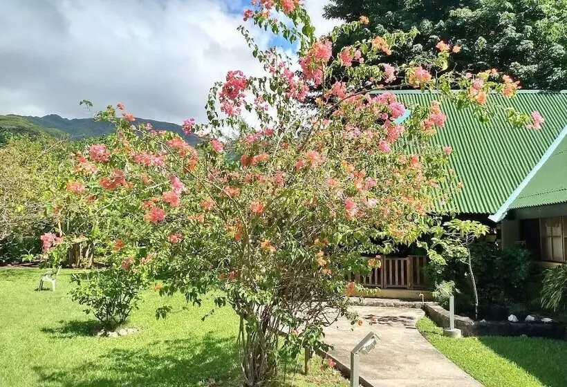 هتل Pension Les Trois Cascades