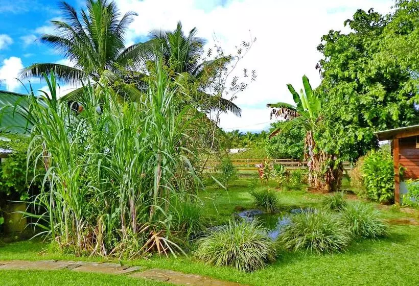 هتل Pension Les Trois Cascades