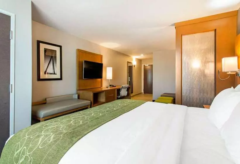 ホテル Comfort Suites North Charleston  Ashley Phosphate