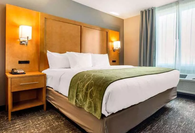 ホテル Comfort Suites North Charleston  Ashley Phosphate