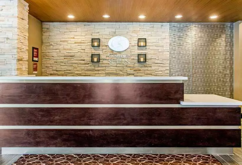 ホテル Comfort Suites North Charleston  Ashley Phosphate