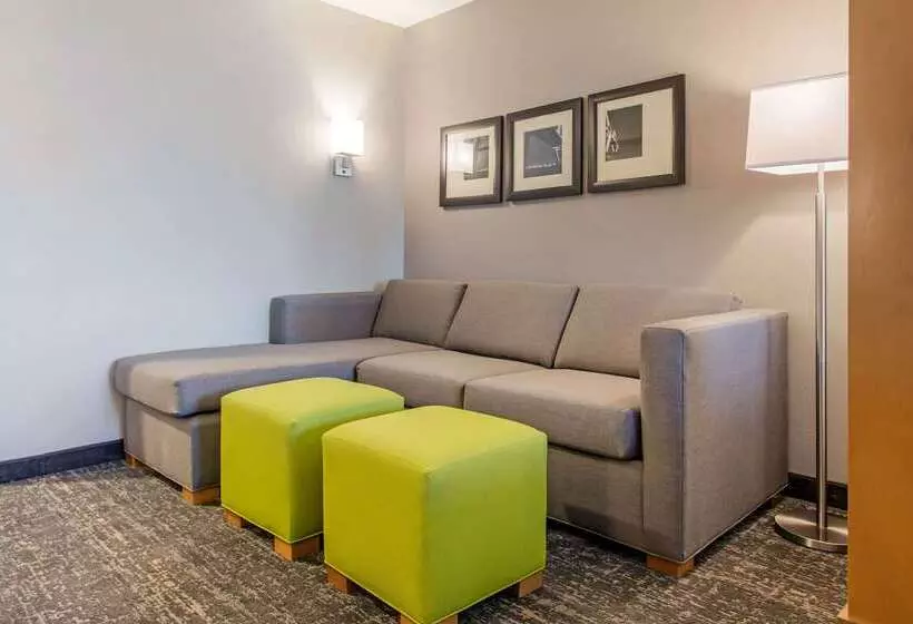 ホテル Comfort Suites North Charleston  Ashley Phosphate