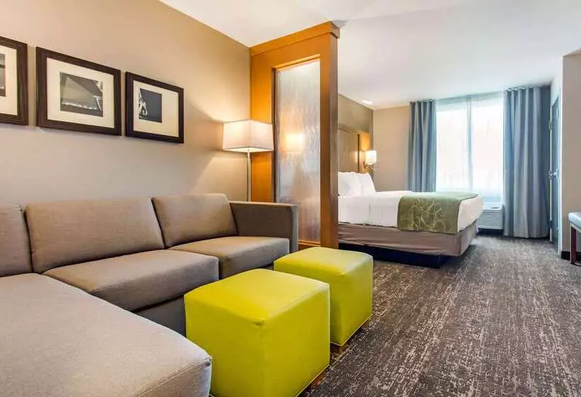 ホテル Comfort Suites North Charleston  Ashley Phosphate