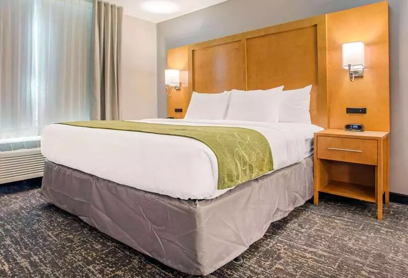 ホテル Comfort Suites North Charleston  Ashley Phosphate