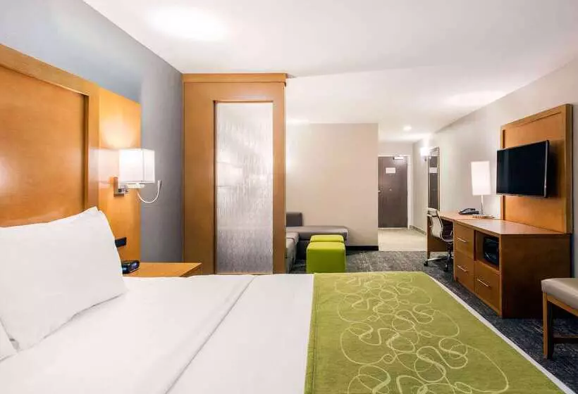 ホテル Comfort Suites North Charleston  Ashley Phosphate