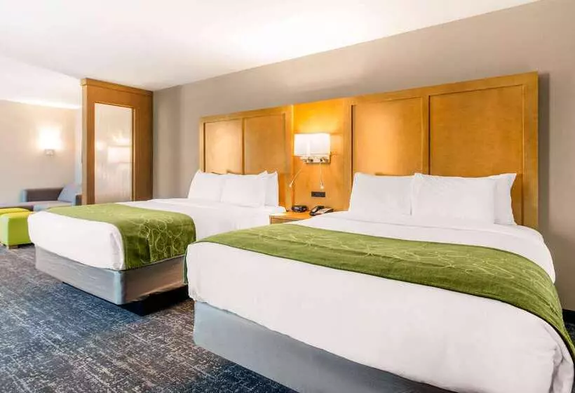 ホテル Comfort Suites North Charleston  Ashley Phosphate